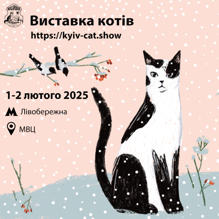 Виставка Котів